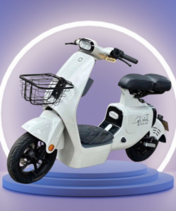 Xe Điện VC 2025 QJtech