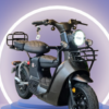 XE ĐIỆN TYPE 3 DISCOVERY