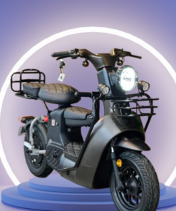 XE ĐIỆN TYPE 3 DISCOVERY